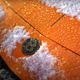 A Mercedes-AMG GT with a Bitcoin badge.